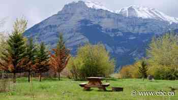 What you need to know about COVID-19 in Alberta on Sunday, May 31