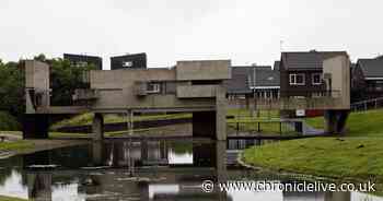 Durham police launch investigation after body found in nature reserve