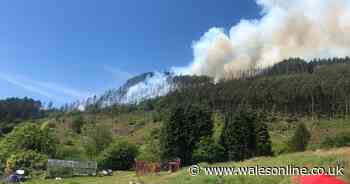Firefighters tackle large mountain fire