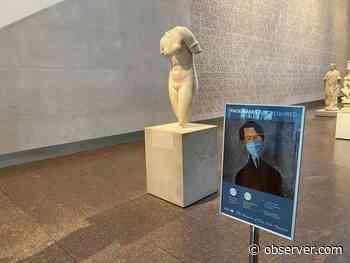 Museum of Fine Arts Houston Provides an Example for Art Institutions Preparing to Reopen - Observer