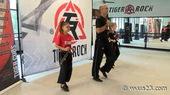 MARTIAL ARTS STUDIO HOSTING VIRTUAL PROGRAMS FOR STUDENTS - wvua23.com