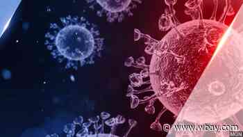 Percent of positive coronavirus tests drops below 3%, DHS announces new county feature - WBAY