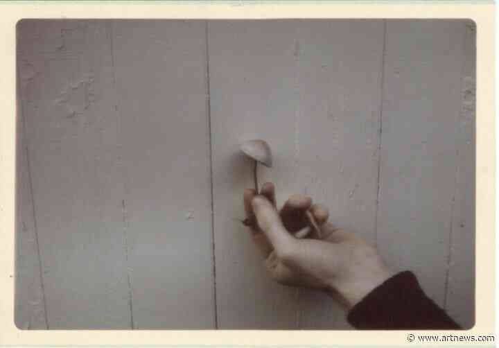 John Cage, Man of Music—and Mushrooms