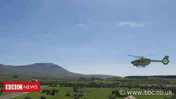 Man dies after being attacked by cows in Yorkshire Dales
