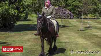 Coronavirus: Queen seen in public for first time since lockdown, riding pony - BBC News