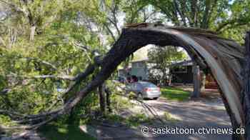 Wind gusts to exceed 90 km/h in parts of Sask: Environment Canada
