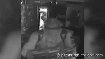 Big Daddy’s Donuts Offering Reward To Help Identify Robber