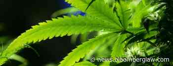 Louisiana Lawmakers Clear Bill to Expand Medical Cannabis Access - Bloomberg Law