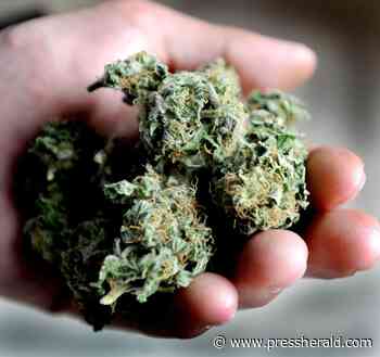 Letter to the Editor: Medical cannabis is not really medicine - Press Herald