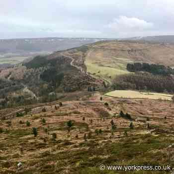 Man falls from waterfall in North Yorkshire