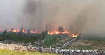 Video shows the huge scale of Haydon Bridge wildfire