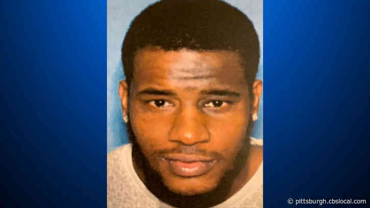 Pitcairn Police Searching For Man Accused Of Assaulting A Child