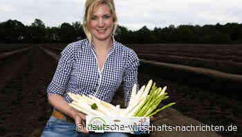 Ernte bricht ein: Spargel droht zum Luxusgut zu werden