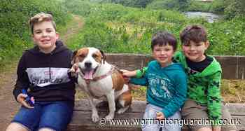 How this animal loving family raised £400 for Warrington Animal Welfare - Warrington Guardian