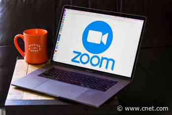 Zoom works on end-to-end encryption, SpaceX crew lands on ISS video     - CNET