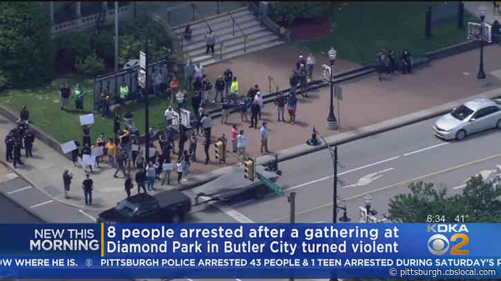 8 People Arrested At Protest At Diamond Park In Butler