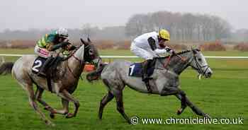 How to watch today's horseracing at Newcastle