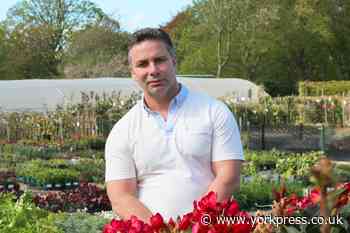 'We'll trade our way out of crisis' - Johnsons of Whixley