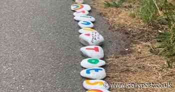 How 'rock snakes' are helping to show North Wales kids they're still among friends during lockdown - Daily Post