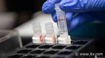 Fourteen more people die from coronavirus in Wales - ITV News