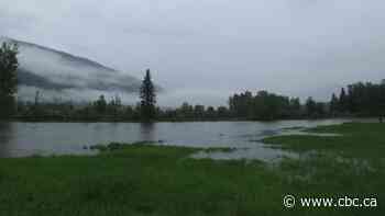 Hundreds of homes under evacuation order in B.C.'s Kootenays due to flood risk