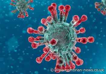 59 new cases of coronavirus confirmed in Wales as contact tracing system is launched - Cambrian News