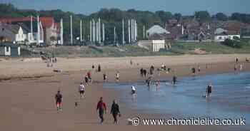 28 pictures of families enjoying the sun on Seaburn beach