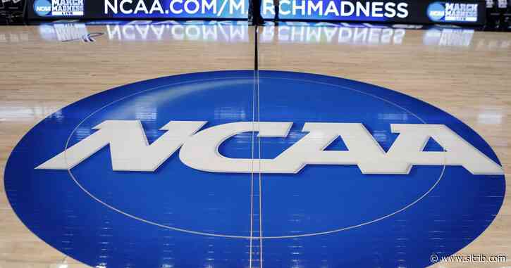 NCAA eliminates evaluation periods, makes it ‘tough’ for 2021 basketball prospects, says Utah coach Larry Krystkowiak