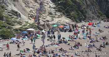 Experts say UK lockdown is being lifted too early - Bristol Live