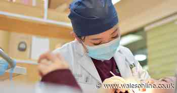 Many dentists to stay closed because of lack of PPE