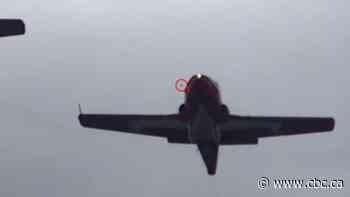 Bird strike on Snowbird engine likely caused fatal crash: report