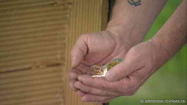 Pirates warned to respect COVID-19 guidelines as GoldHunt plans Alberta relaunch