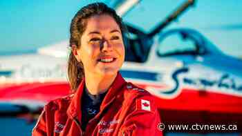 Snowbirds crash may have been caused by bird strike, investigation reveals