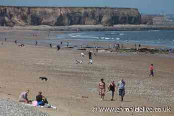 23 stunning pictures of locals enjoying the sun in Seaham