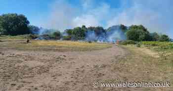 Firefighters have been battling a major grass fire in Neath all day
