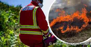 Firefighters spend all day tackling latest Newport grass fire