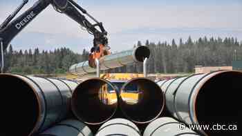 Trans Mountain reaches 'key milestone' as pipeline construction begins in B.C. Interior