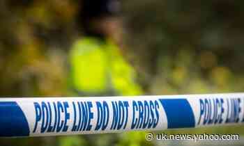 Man arrested on suspicion of double murder in Salisbury