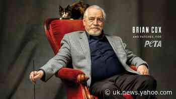 Succession star Brian Cox quizzed by rescue cat in Peta advert