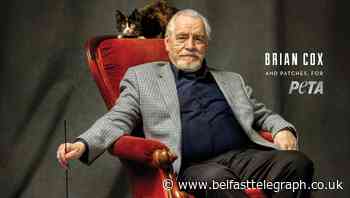 Succession star Brian Cox quizzed by rescue cat in Peta advert
