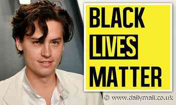 Cole Sprouse reveals he was arrested while taking part in peaceful protest