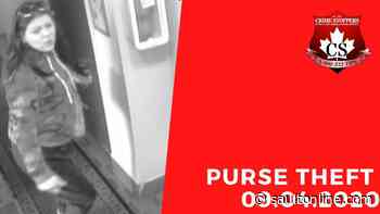 Crime Stoppers: Purse Theft on April 9, 2020