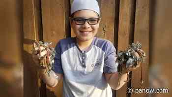 Young entrepreneur digs up new business venture - paNOW