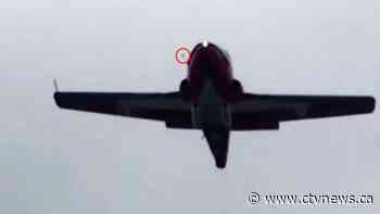 Air Force report points to bird strike as possible cause of fatal Snowbirds crash