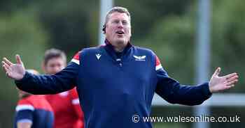 Scarlets reveal full details of their new coaching team as new faces announced - Wales Online