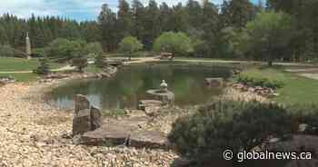 University of Alberta Botanic Garden reopens amid ongoing COVID-19 pandemic