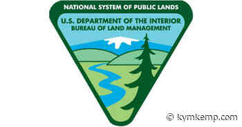 BLM Proposes Modernizing Forest Management Rules - Redheaded Blackbelt