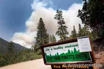 Fire restrictions remain in place for San Juan National Forest - The Durango Herald