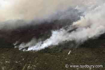 No new forest fires in northeast Sunday, fire hazard generally low - Sudbury.com