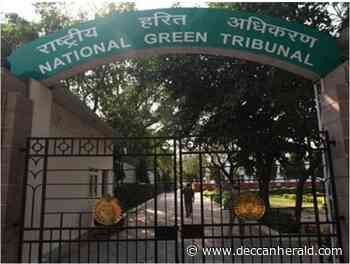 NGT directs forest dept to look into plea alleging cutting of trees outside Anand Vihar Rly station - Deccan Herald